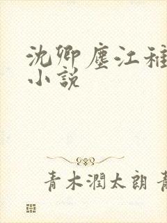 沈卿尘江稚免费小说