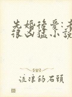 先婚后爱:老公很凶猛小说免费阅读