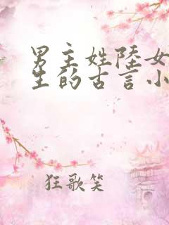 男主姓陆女主重生的古言小说