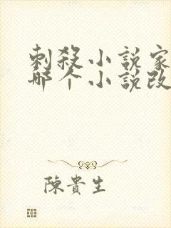 刺杀小说家根据哪个小说改编的