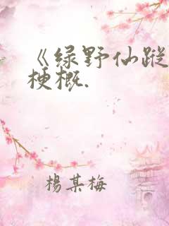 《绿野仙踪》的梗概.