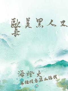 欧美黑人又粗又长