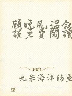 顾晚风温叙言小说免费阅读