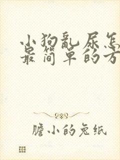 小狗乱尿怎么办最简单的方法