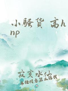 小骚货 高h np