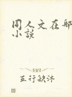 同人文在哪儿看小说