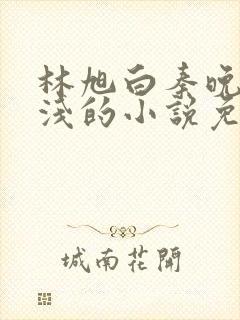 林旭白秦晚苏浅浅的小说免费阅读