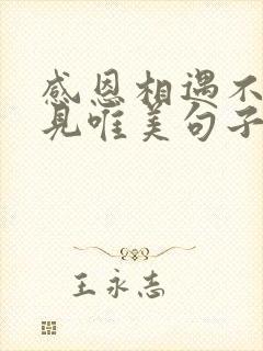 感恩相遇不负遇见唯美句子