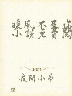 暖风不及你情深小说免费阅读全文