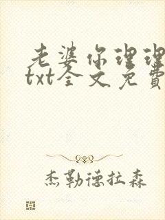 老婆你理理我啊txt全文免费阅读