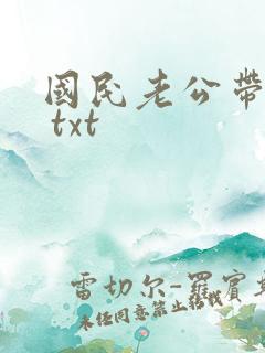 国民老公带回家 txt