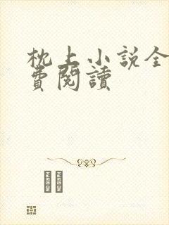 枕上小说全文免费阅读