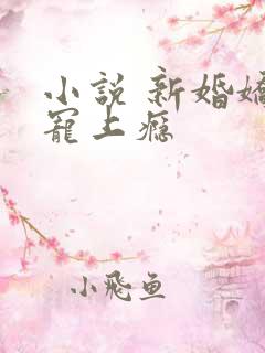 小说 新婚娇妻宠上瘾