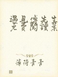 遇见傅先生全文免费阅读叶繁星