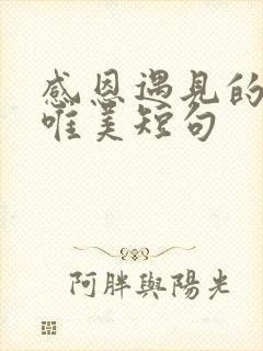 感恩遇见的句子唯美短句