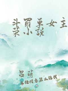 斗罗单女主宁荣荣小说