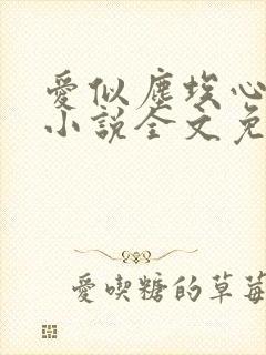 爱似尘埃心向水小说全文免费阅读