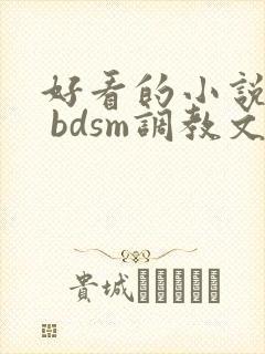 好看的小说推荐 bdsm调教文