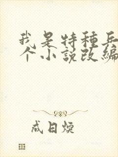 我是特种兵是哪个小说改编的