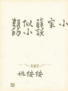 类似薛家小娘子的小说