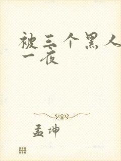 被三个黑人操了一夜