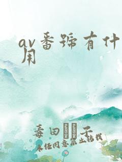 av番号有什么用