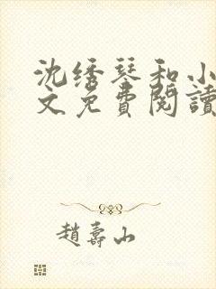 沈绣琴和小夏全文免费阅读