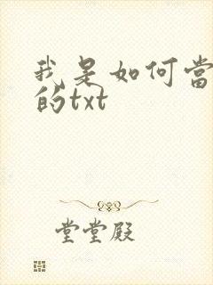 我是如何当神豪的txt