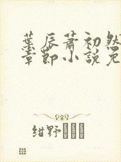 叶辰萧初然最新章节小说免费阅读