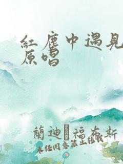 红尘中遇见了你原唱