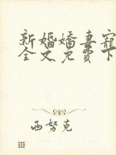 新婚娇妻宠上瘾全文免费下载