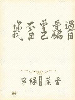 你不曾爱过我,我自己骗自己是什么歌