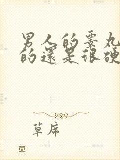 男人的睾丸是软的还是很硬