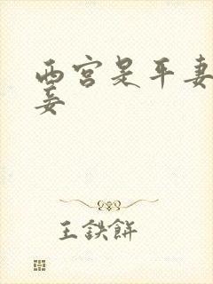 西宫是平妻还是妾