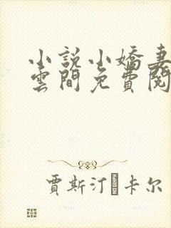 小说小娇妻by云间免费阅读