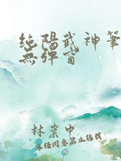 纯阳武神笔趣阁无弹窗