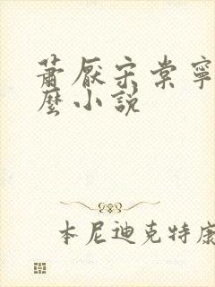 萧厌宋棠宁是什么小说