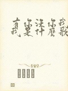 有你没你我都是我是什么歌