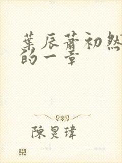 叶辰萧初然最后的一章