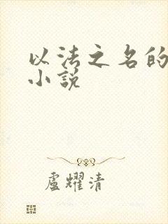 以法之名的原著小说