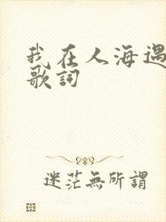 我在人海遇见你歌词