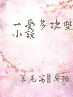 一受多攻双男主小说