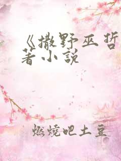 《撒野巫哲》原著小说