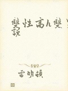 双性高h双男小说