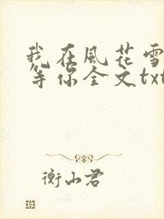 我在风花雪月里等你全文txt