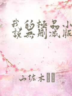 我的极品小姨小说无删减版