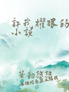 许我耀眼的原著小说