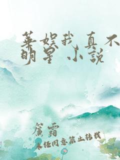 华娱我真不想当明星 小说