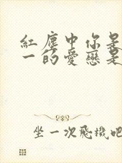 红尘中你是我唯一的爱恋是什么歌