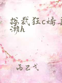 总裁狂c娇妻高潮h